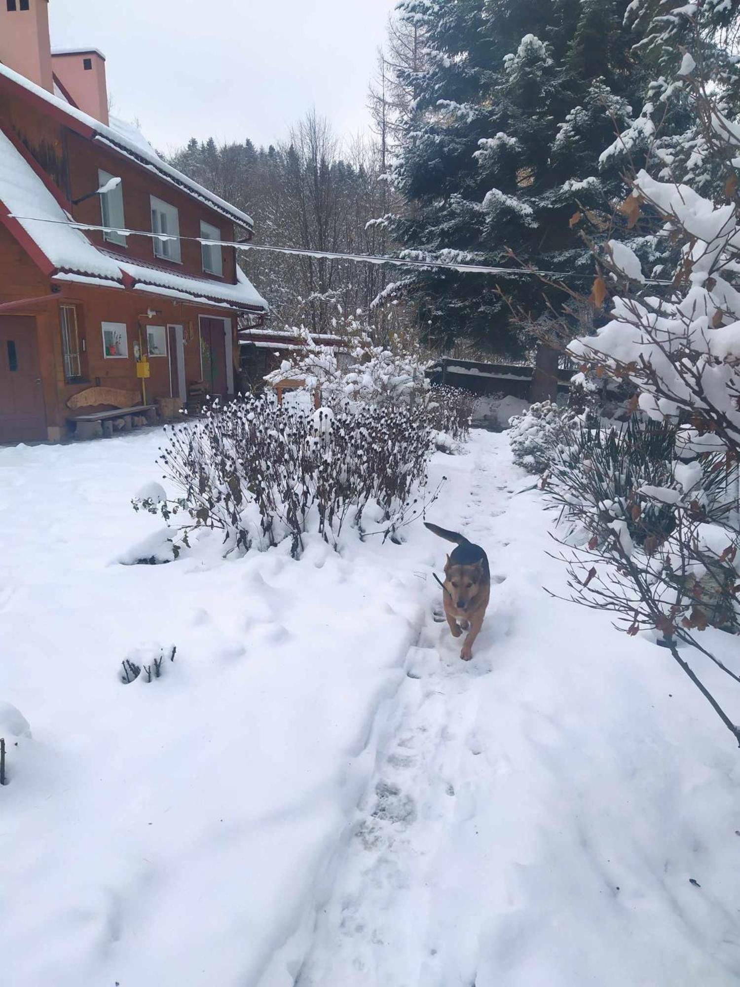 Agroturystyka U Psotki Kuzmina Exterior foto